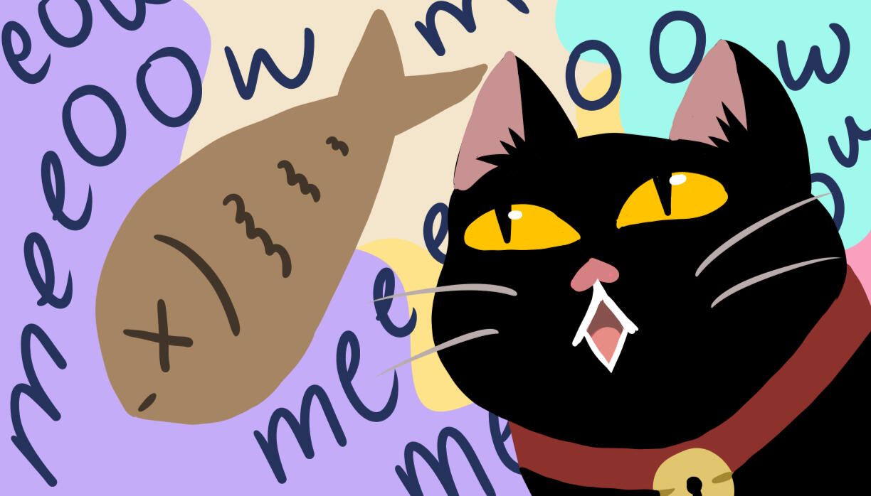 Big meow